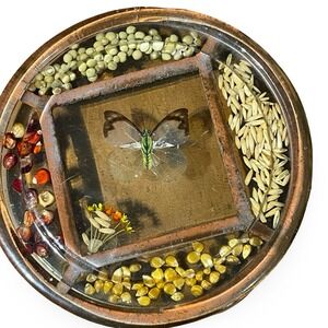 VTG Lucite Butterfly & Grains Footed Round Trivet boho festival hippie retro‎